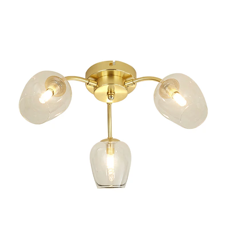 Living room Ceiling Lamp
